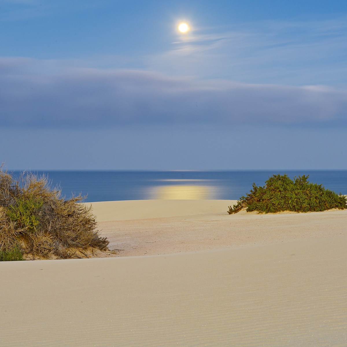 Moon in the dunes