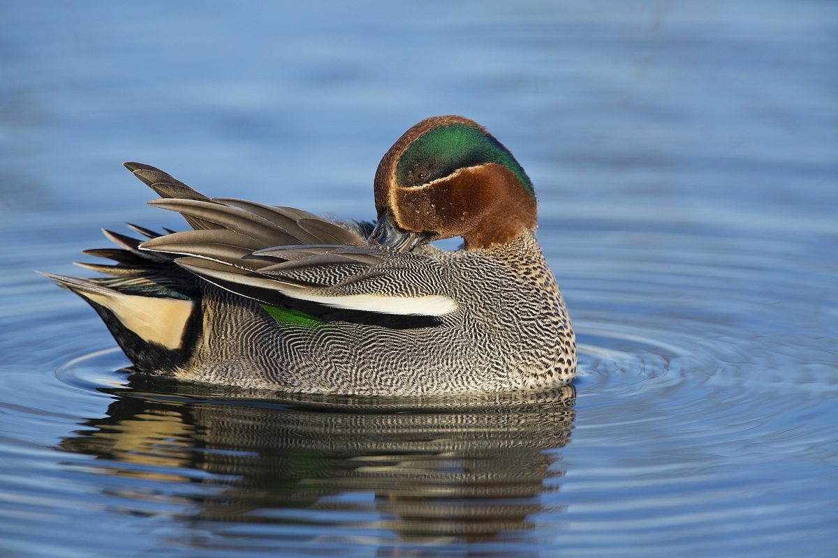 Pulizie di primavera