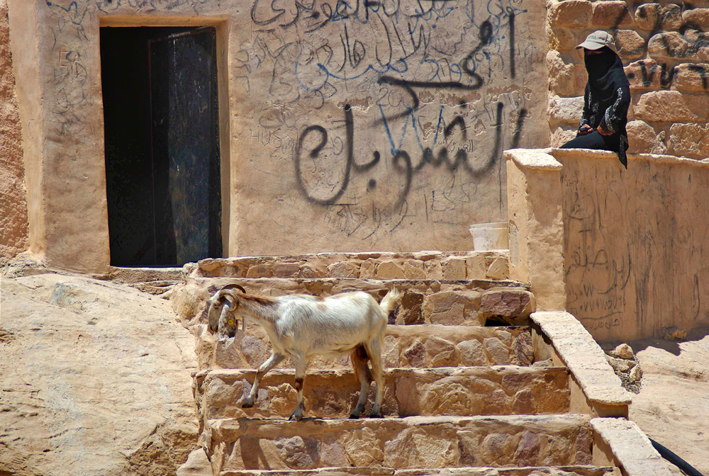 Petra - keeper of sheep