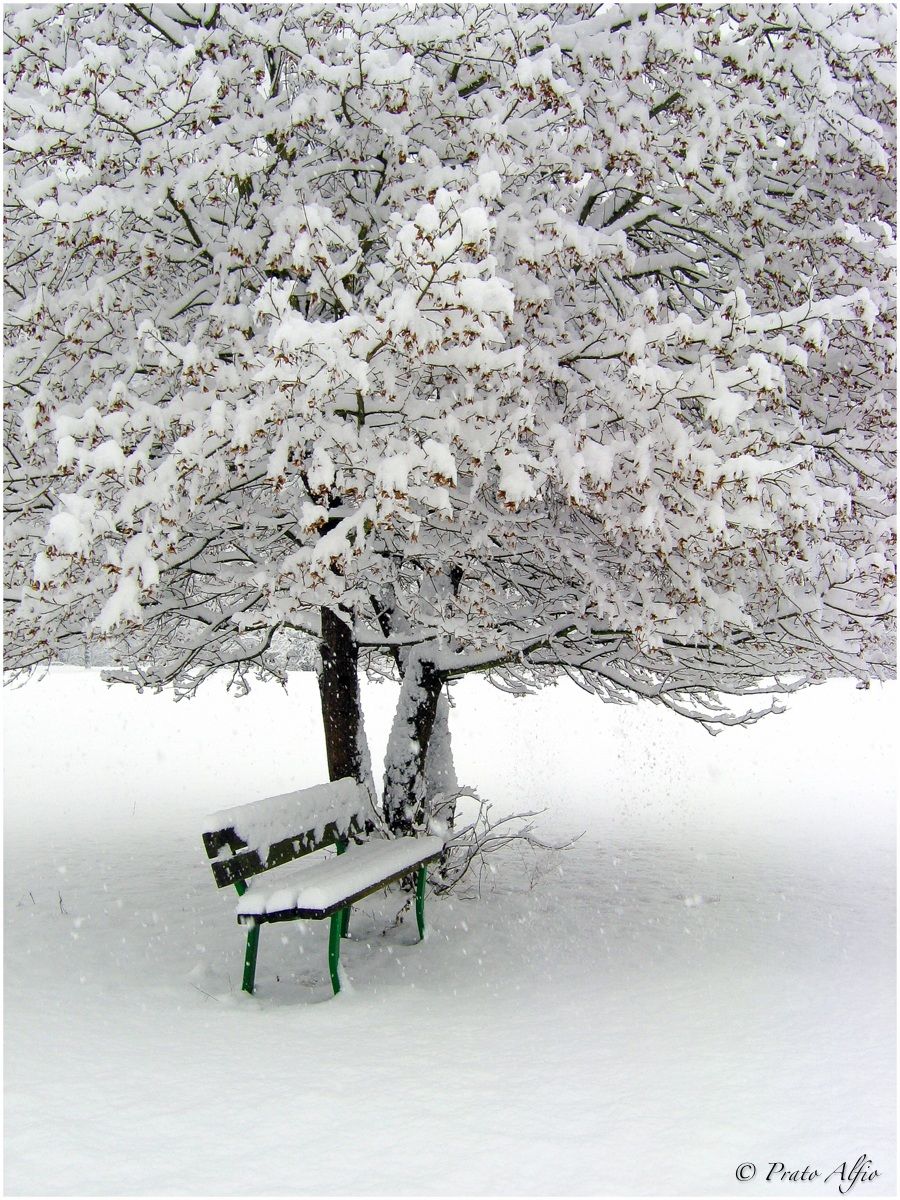 The spring can wait: