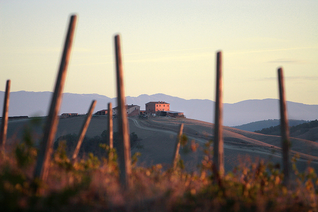 Crete Senesi