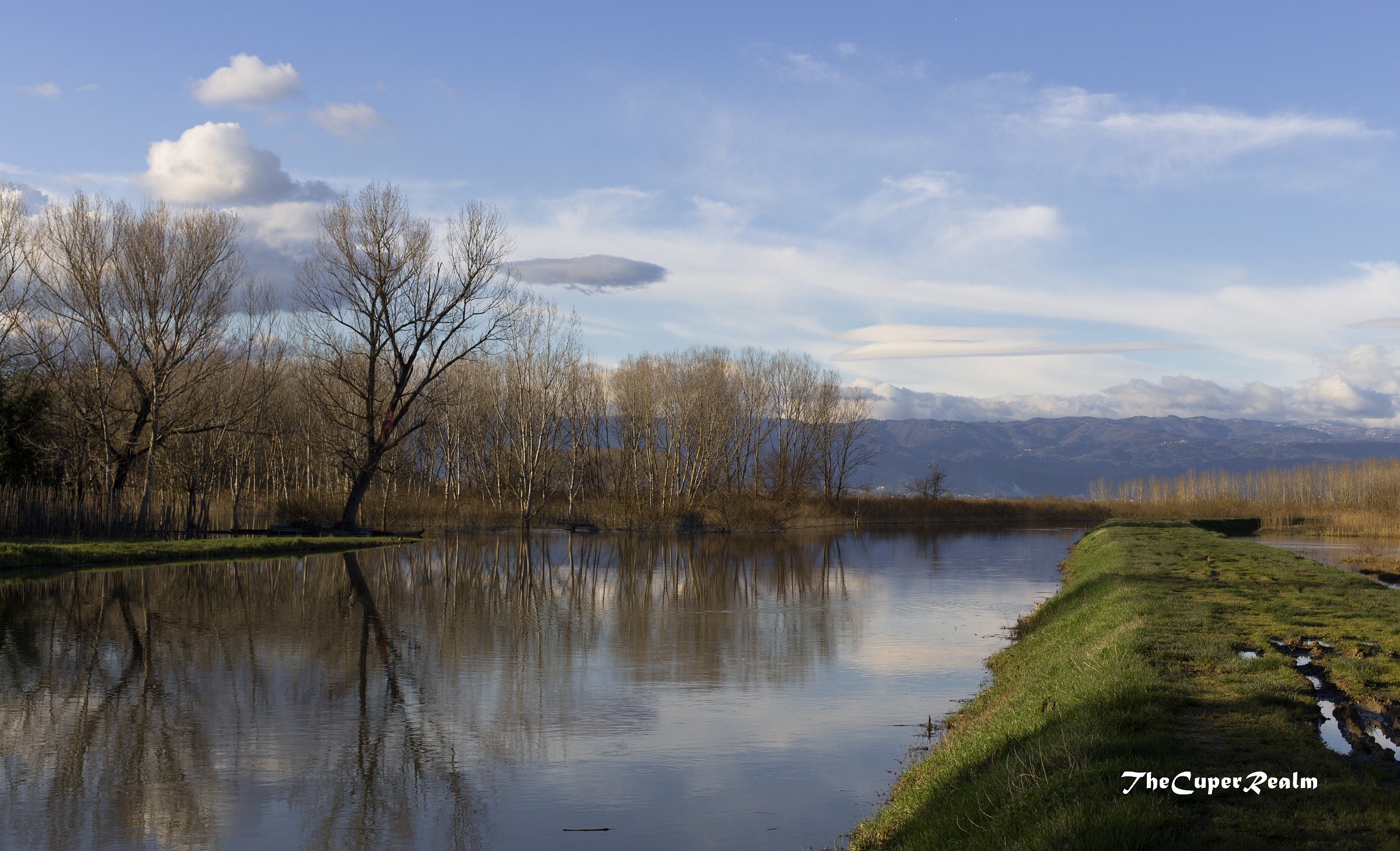Fucecchio Marshes - Massarella