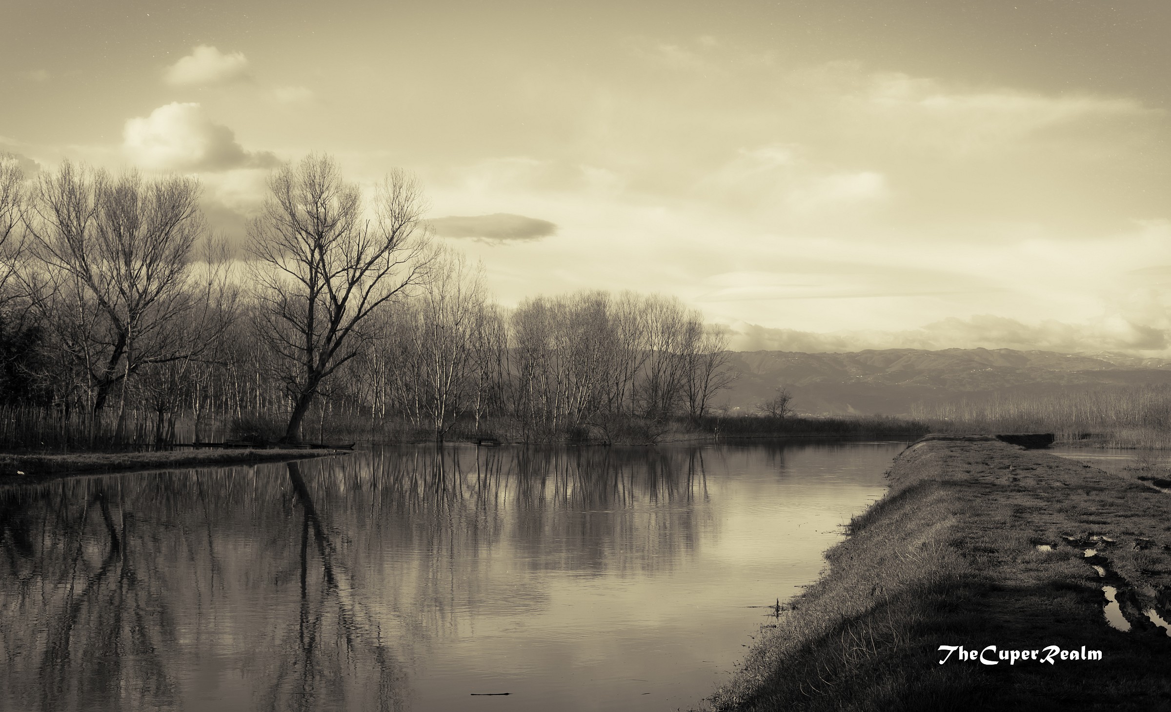 Fucecchio Marshes - Massarella