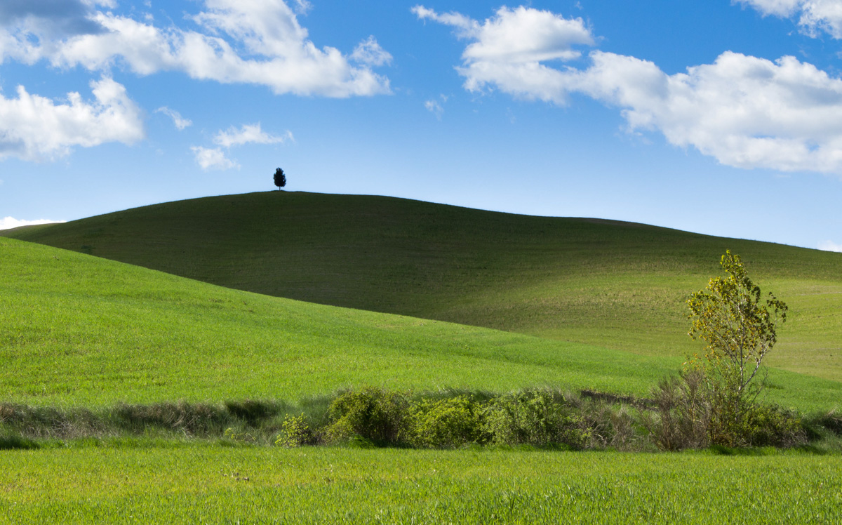 Le nuvole corrono veloci