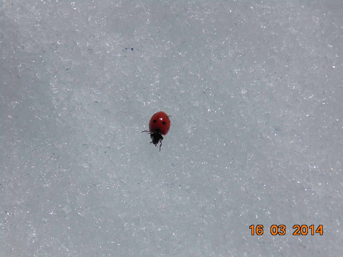 Unexpected encounter