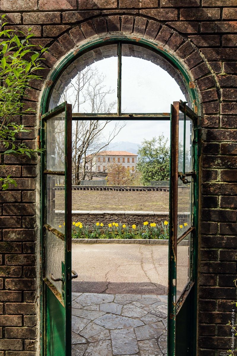 La finestra sul cortile