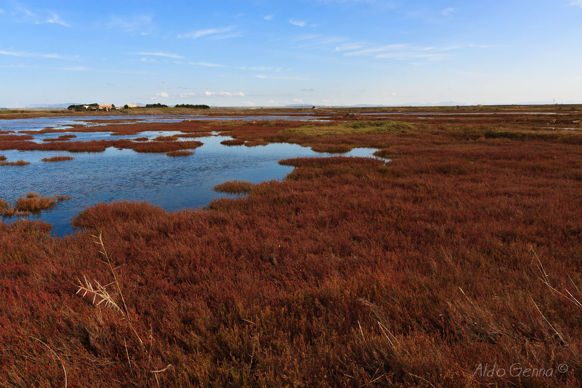 Riserva di Capo Feto