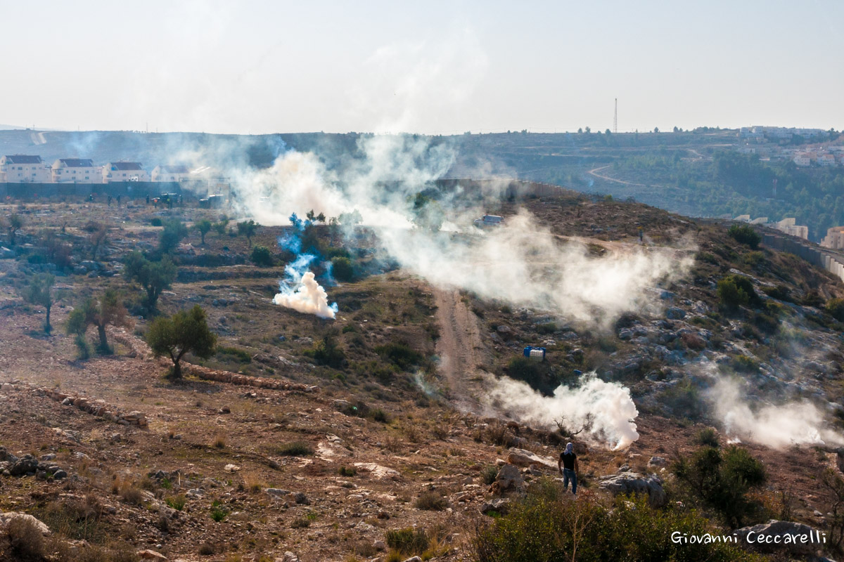 Looking at the field of battle ..