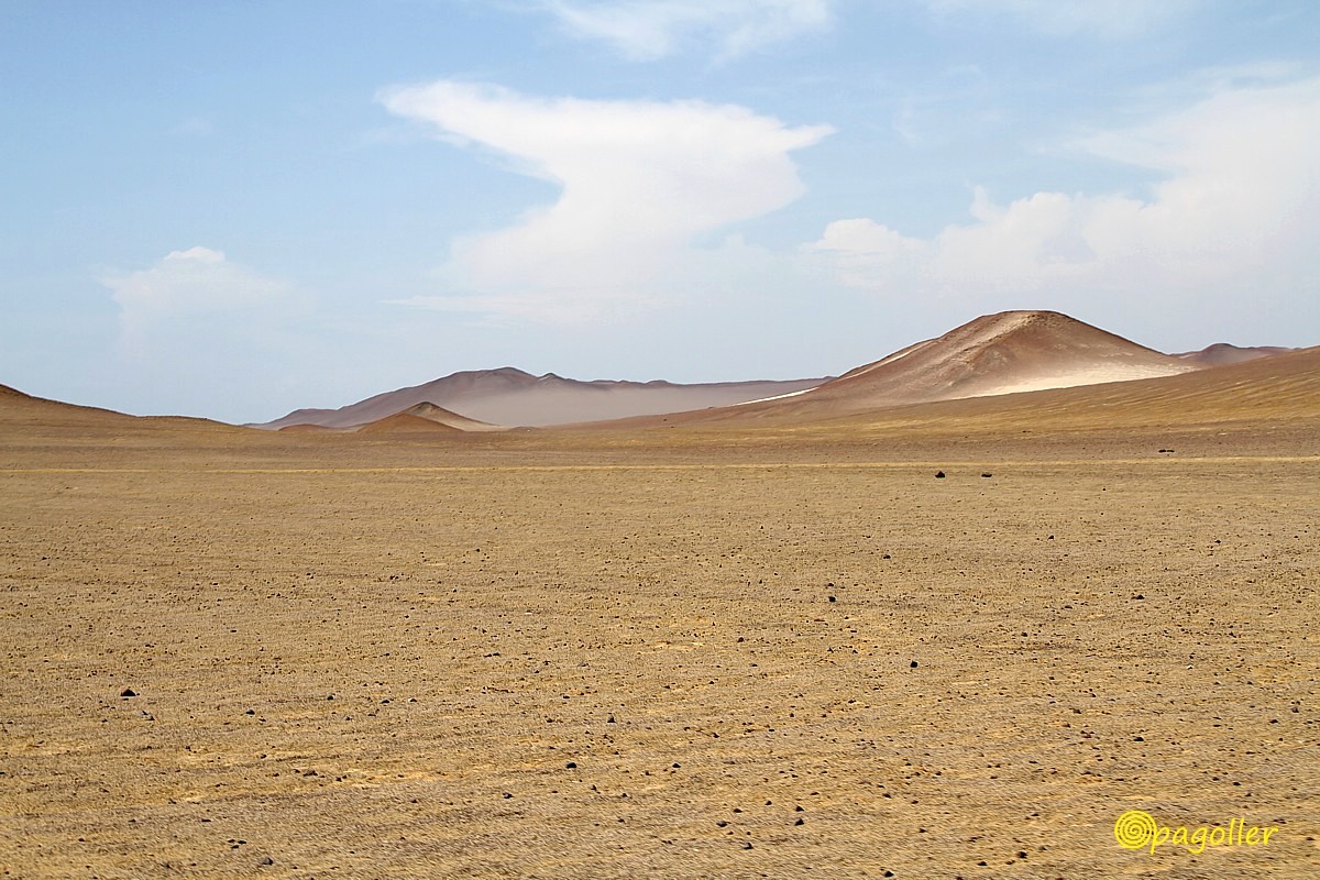 Reserve of Paracas