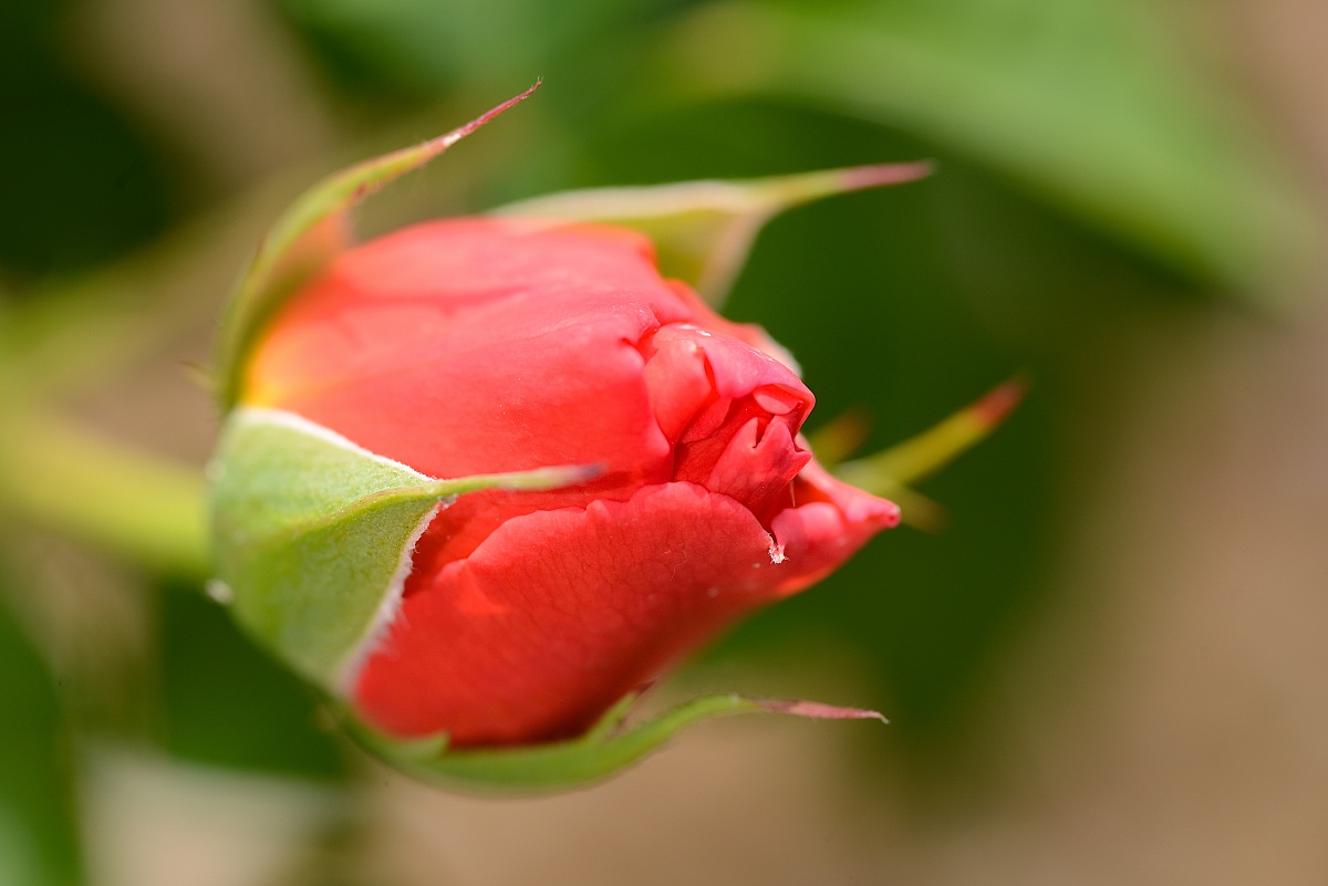 called her mouth pink ...