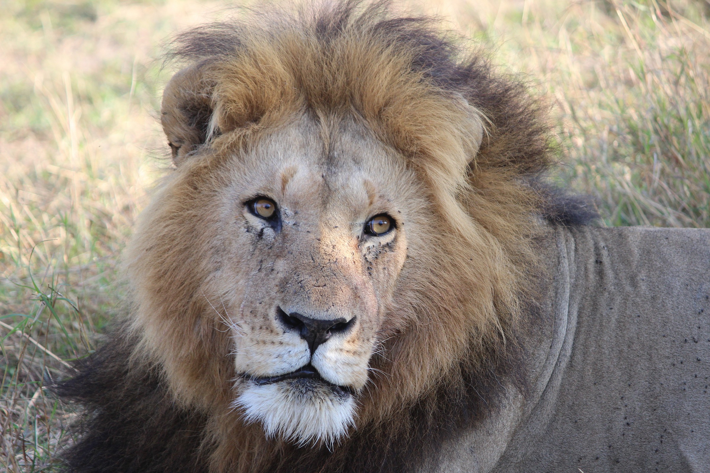 Cesar of Notch Coalition