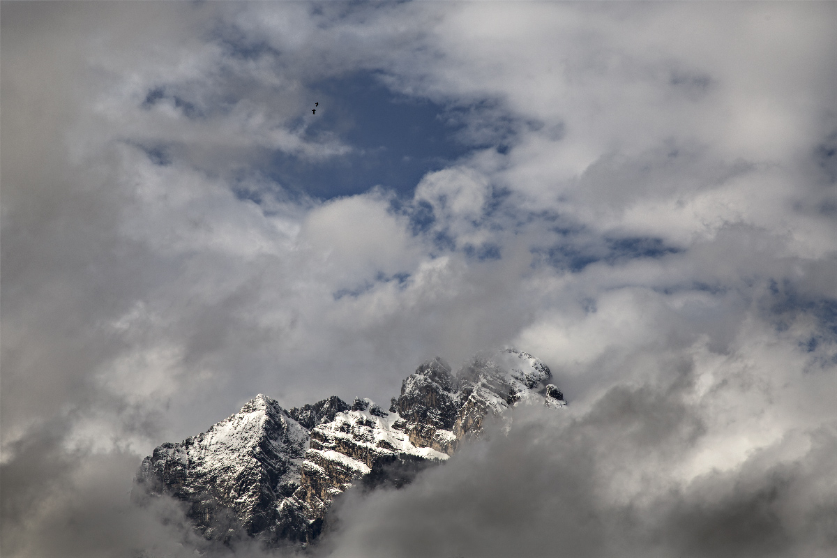 Libere... nel cielo azzurro
