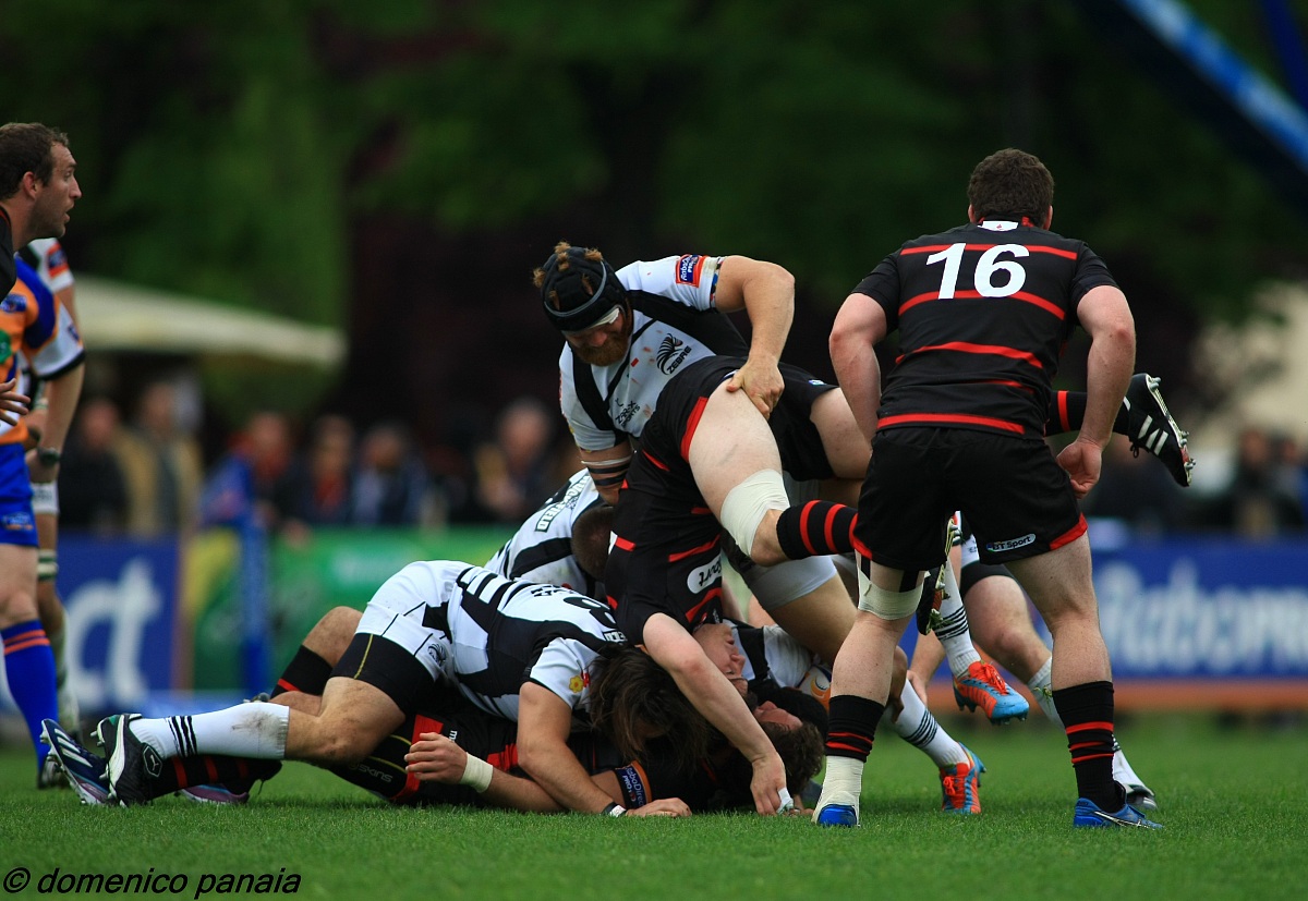 zebre vs edimburg