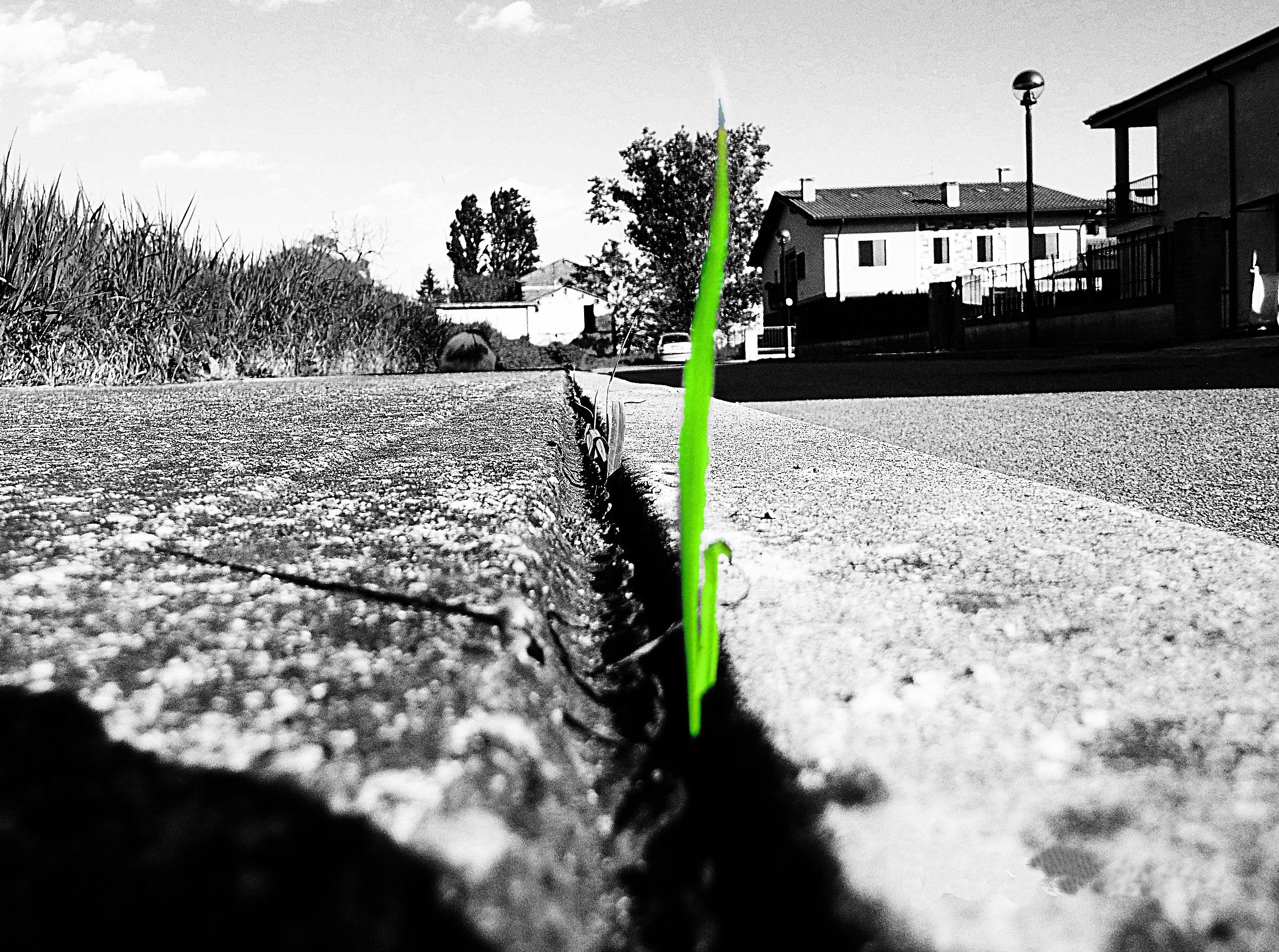 The power of nature 2