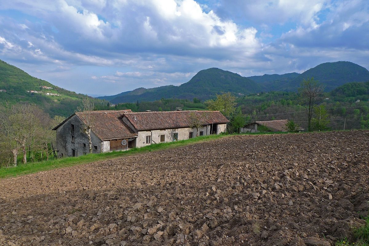 The last wagon wheel