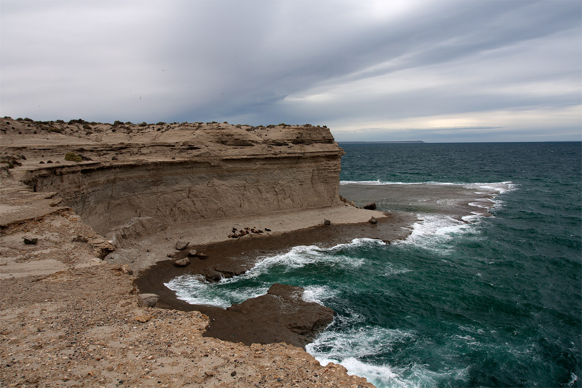 Patagonia - Penisola di Valdes, Punta Norde
