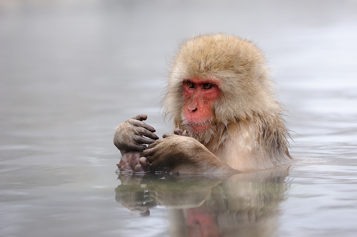 Mi godo il bagnetto caldo