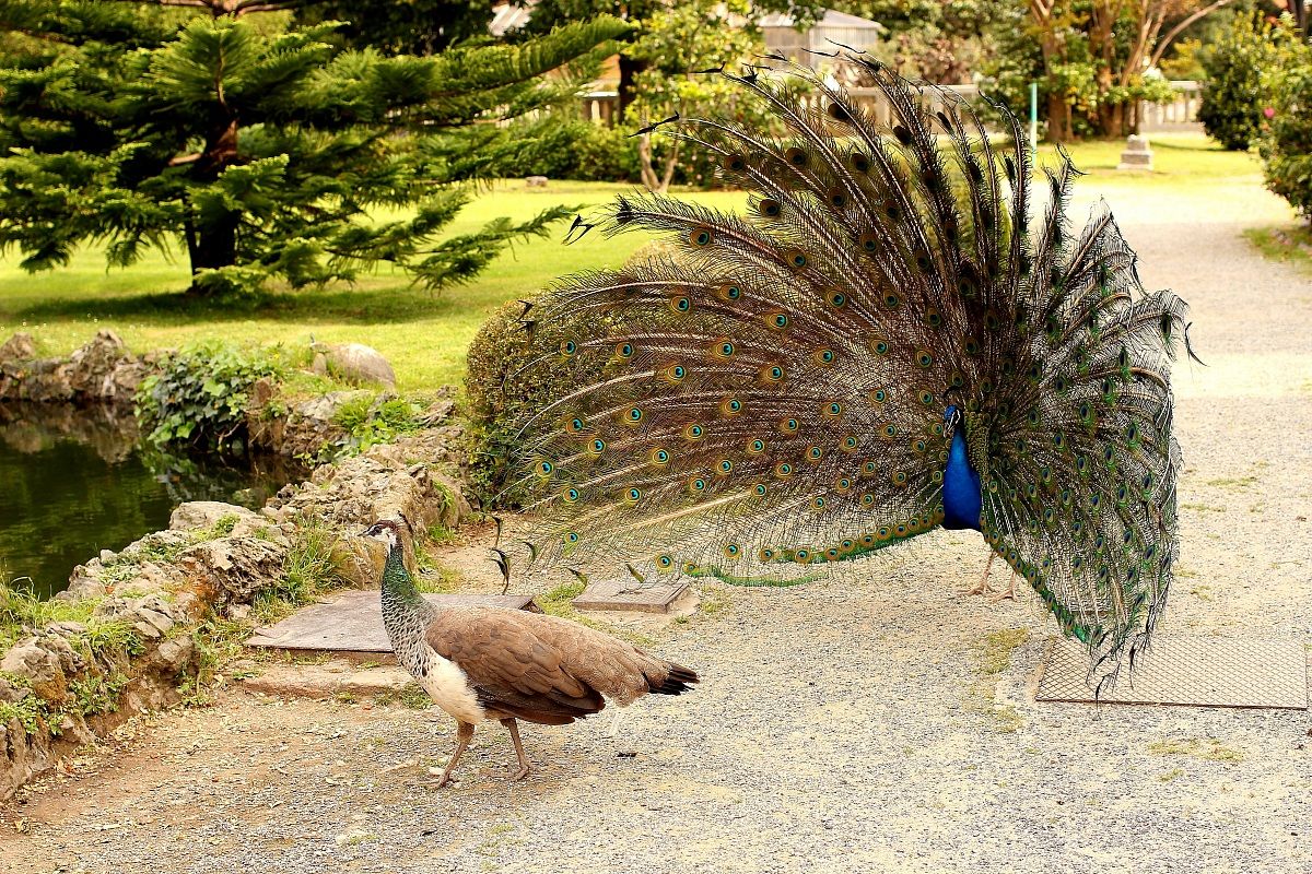 Hey ragazza..almeno guardami!