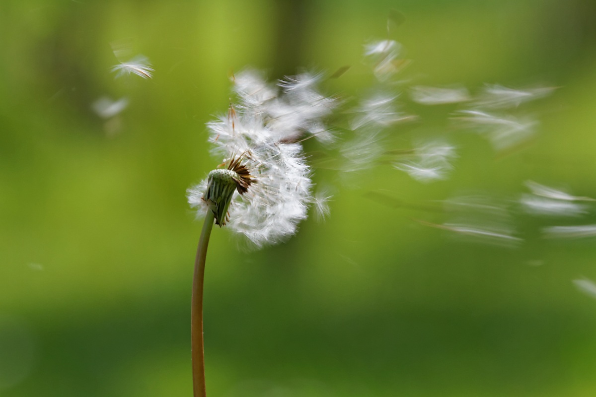 Voolaareee.. ooh-oh!