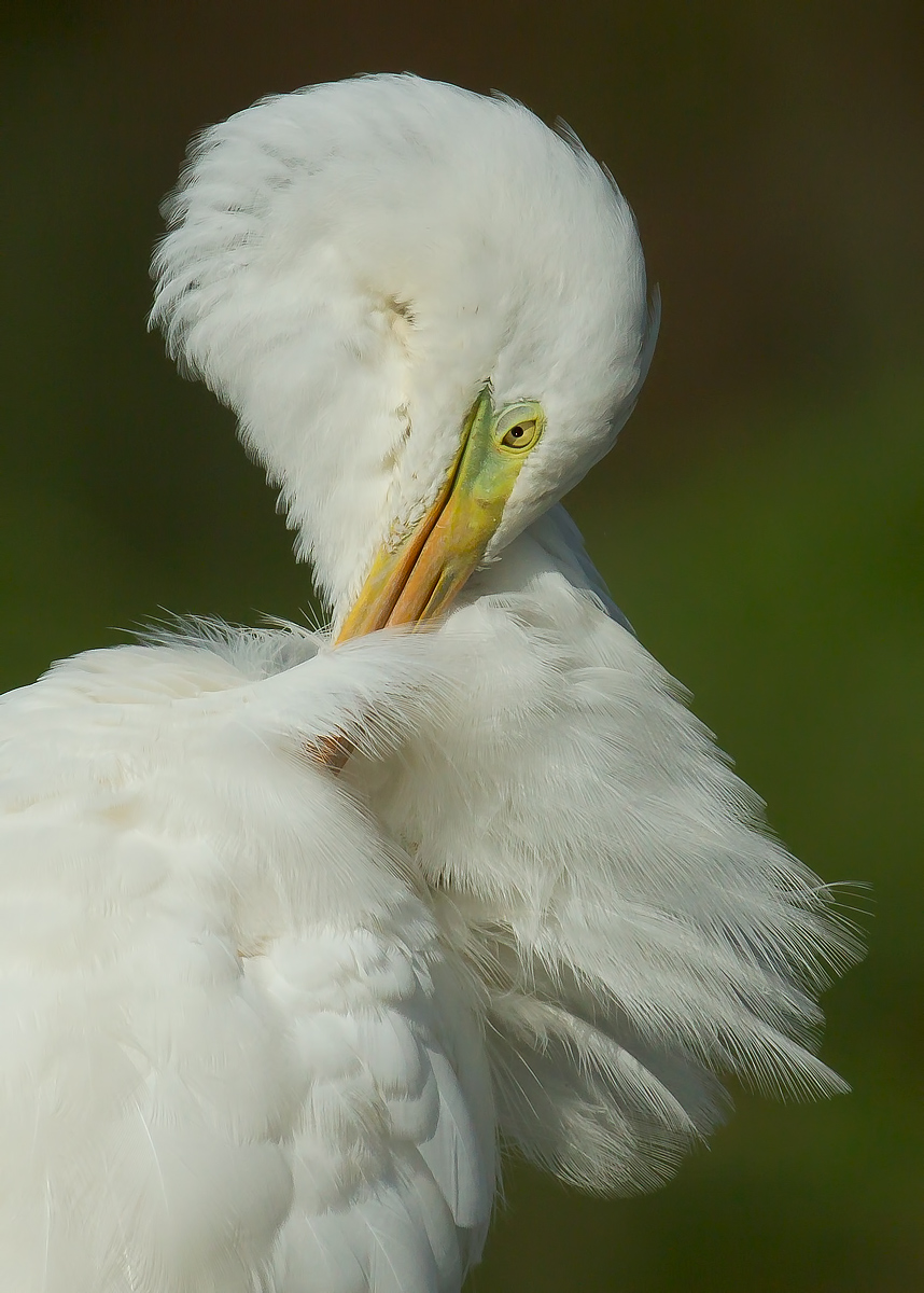 what is the right way?