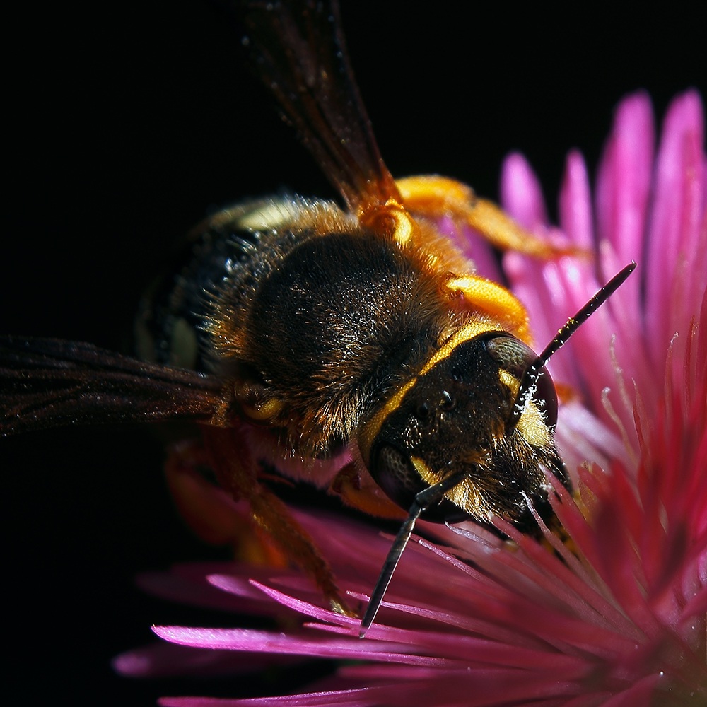 Quasi un primo piano