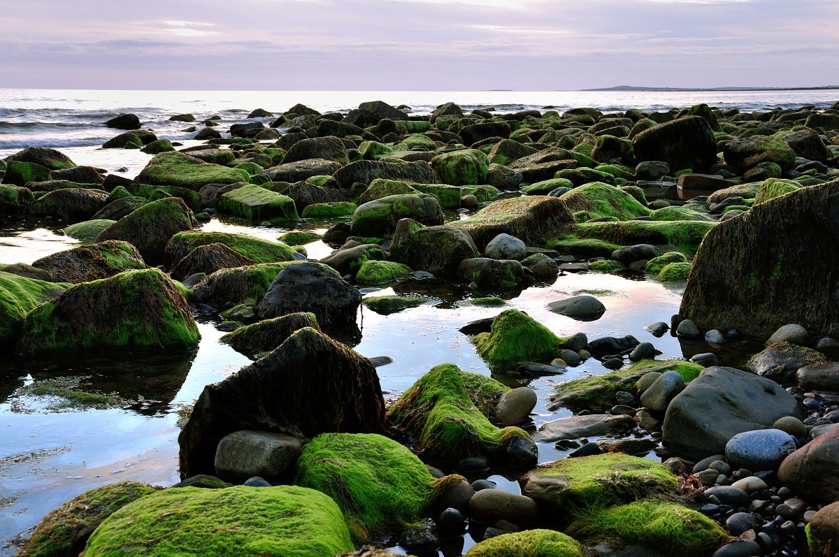 Scroscio tra i sassi