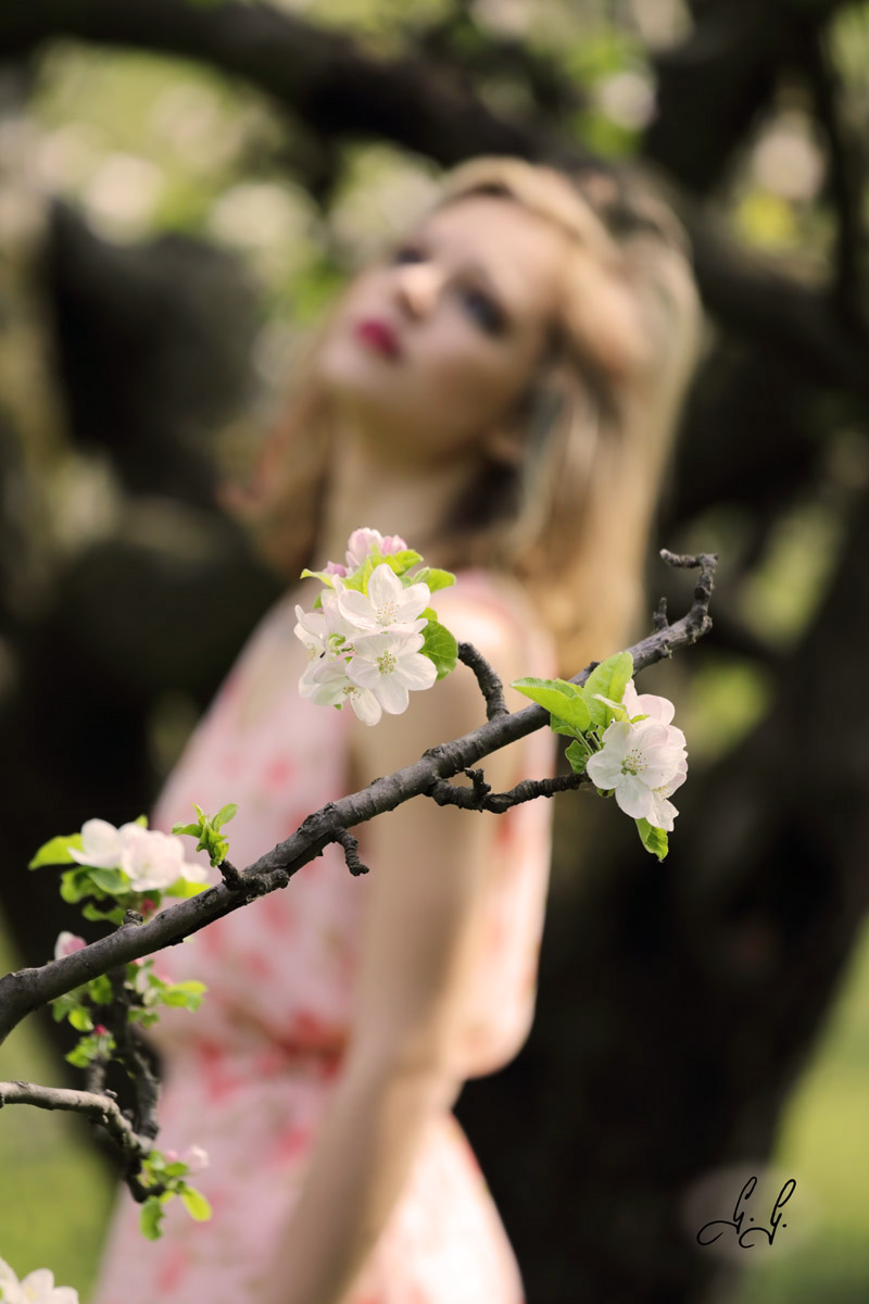 Flower among flowers
