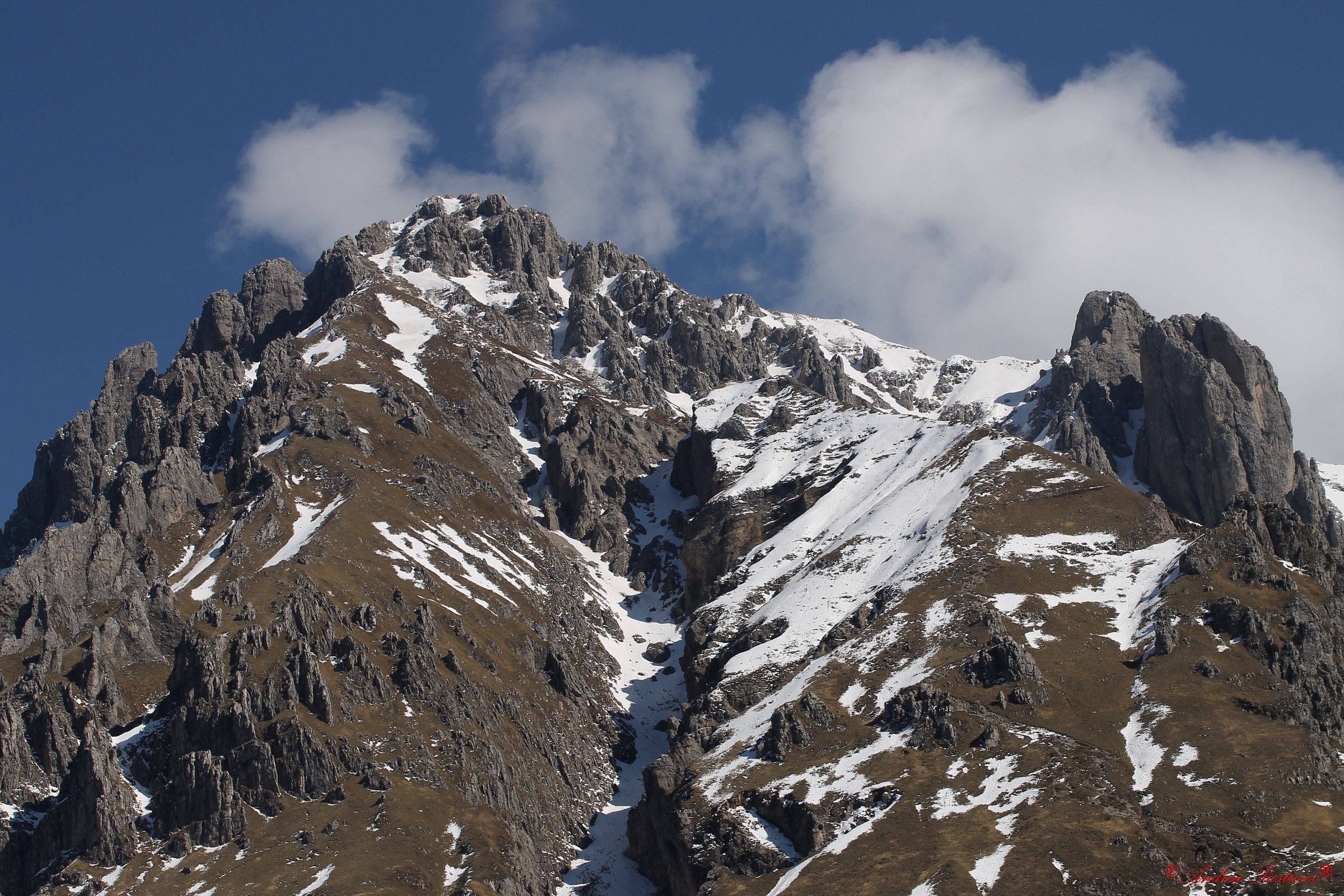 freschezza primaverile