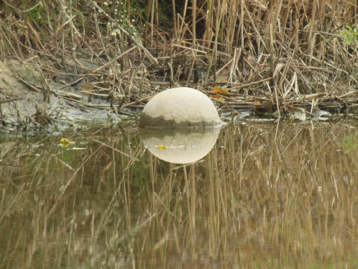 tromp d'oeil or single image stereogram?