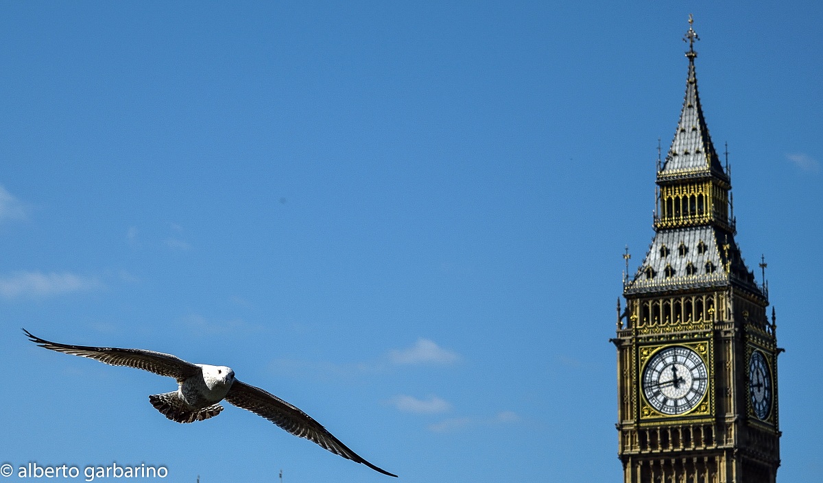 Gabbiano al Big Bang