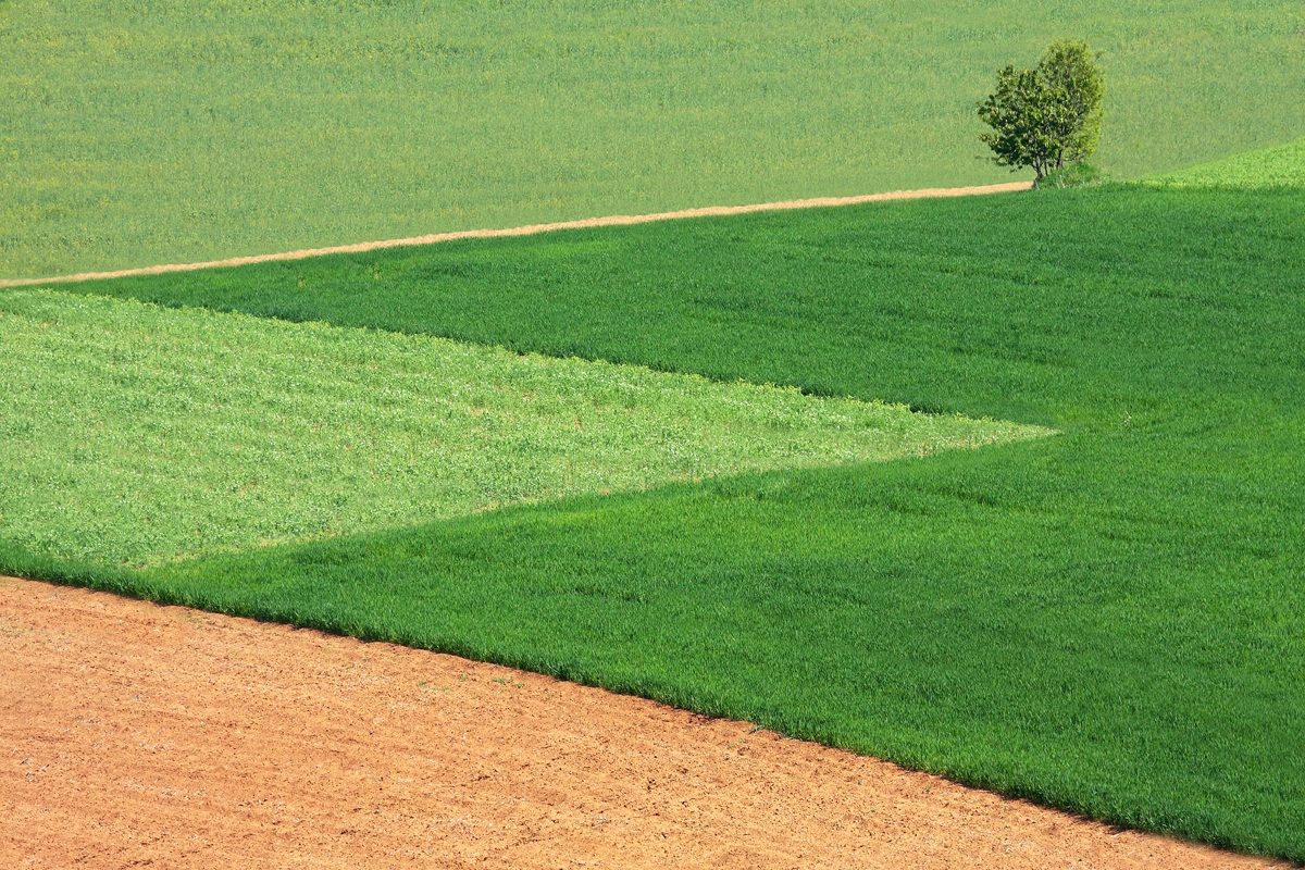 "Geometries of langa"