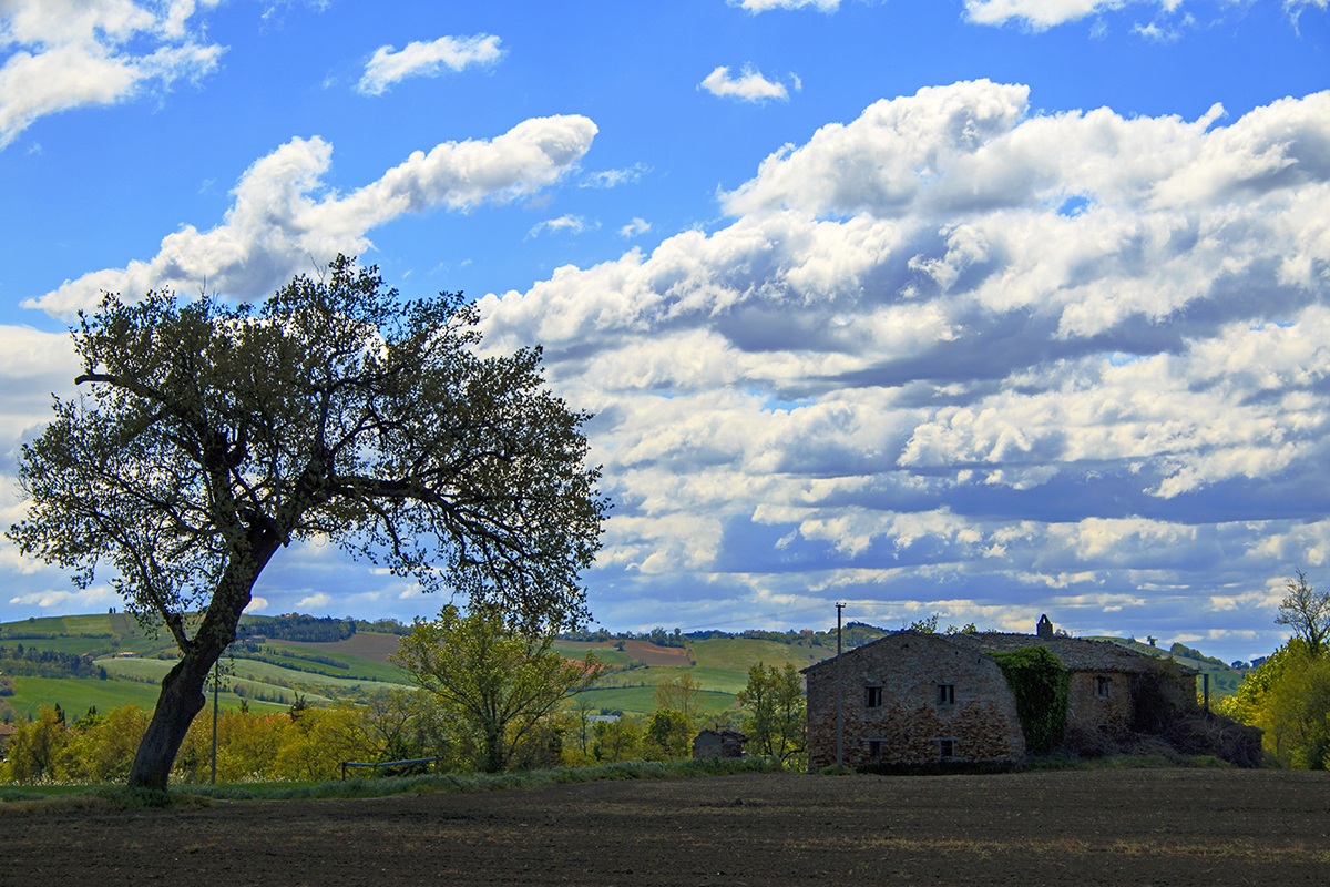 clouds in the countryside