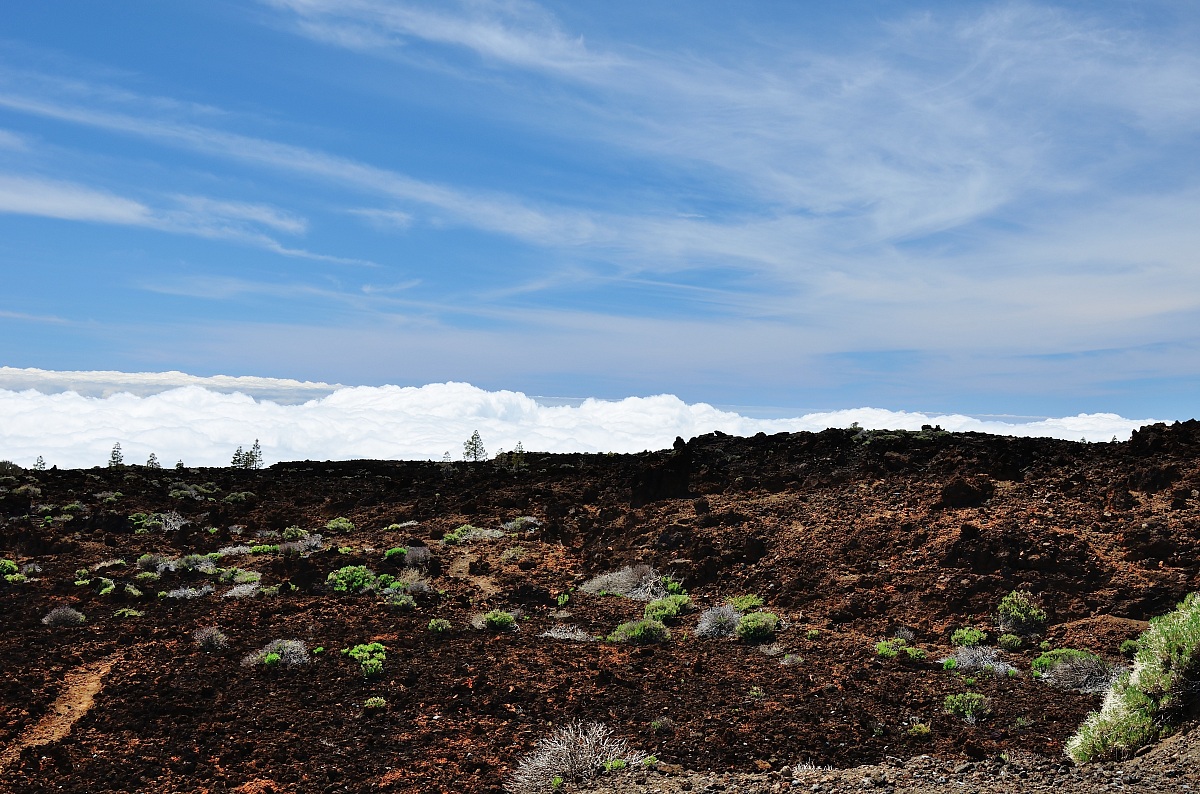 Fin del Mundo - Parque Nacional del Teide