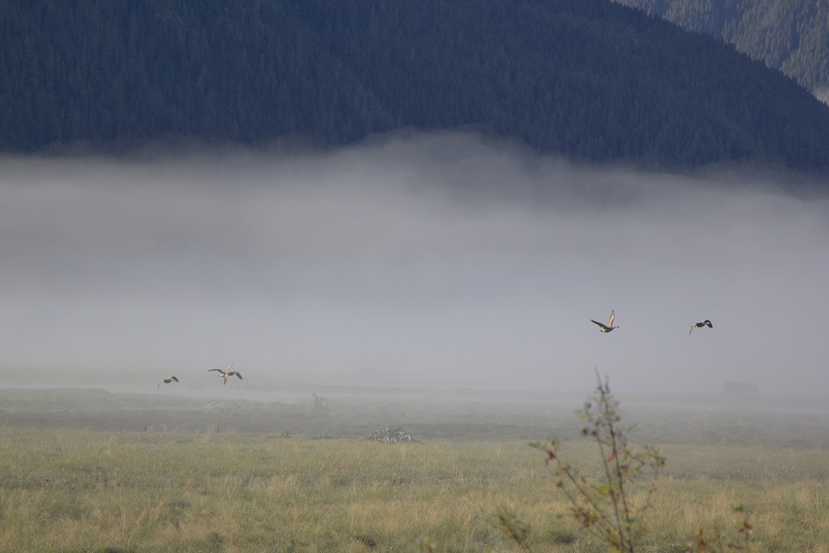 sunrise between alaska and canada