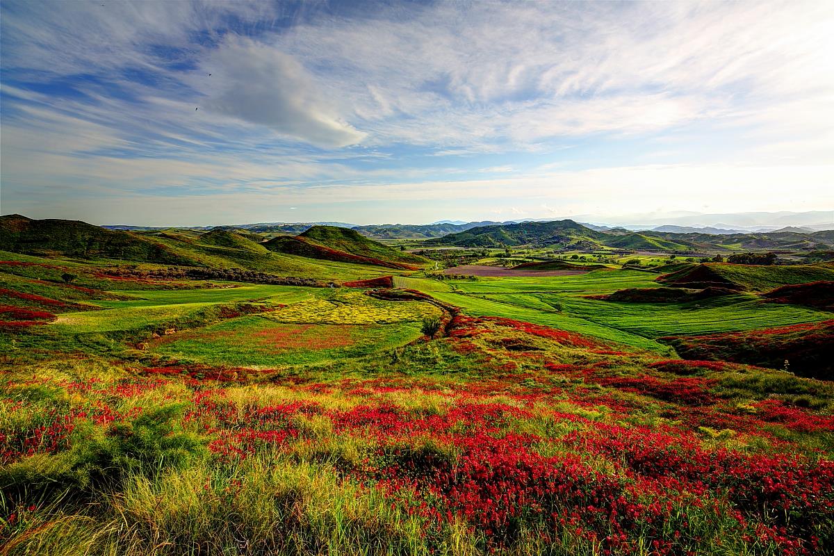 Aspettando il bianconiglio