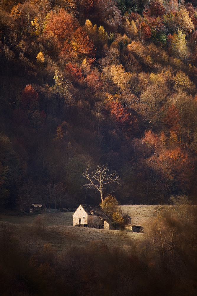 Autumn in Val Taleggio