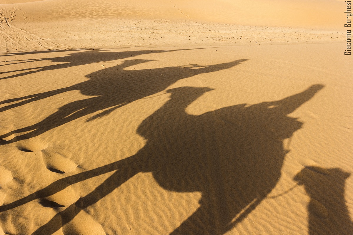 Shadows in the desert