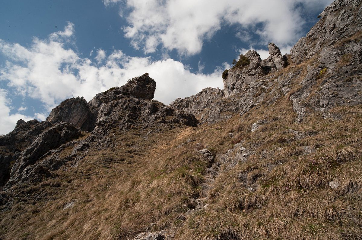 no absolute PP-Sun from 13 to 16 advancing photo