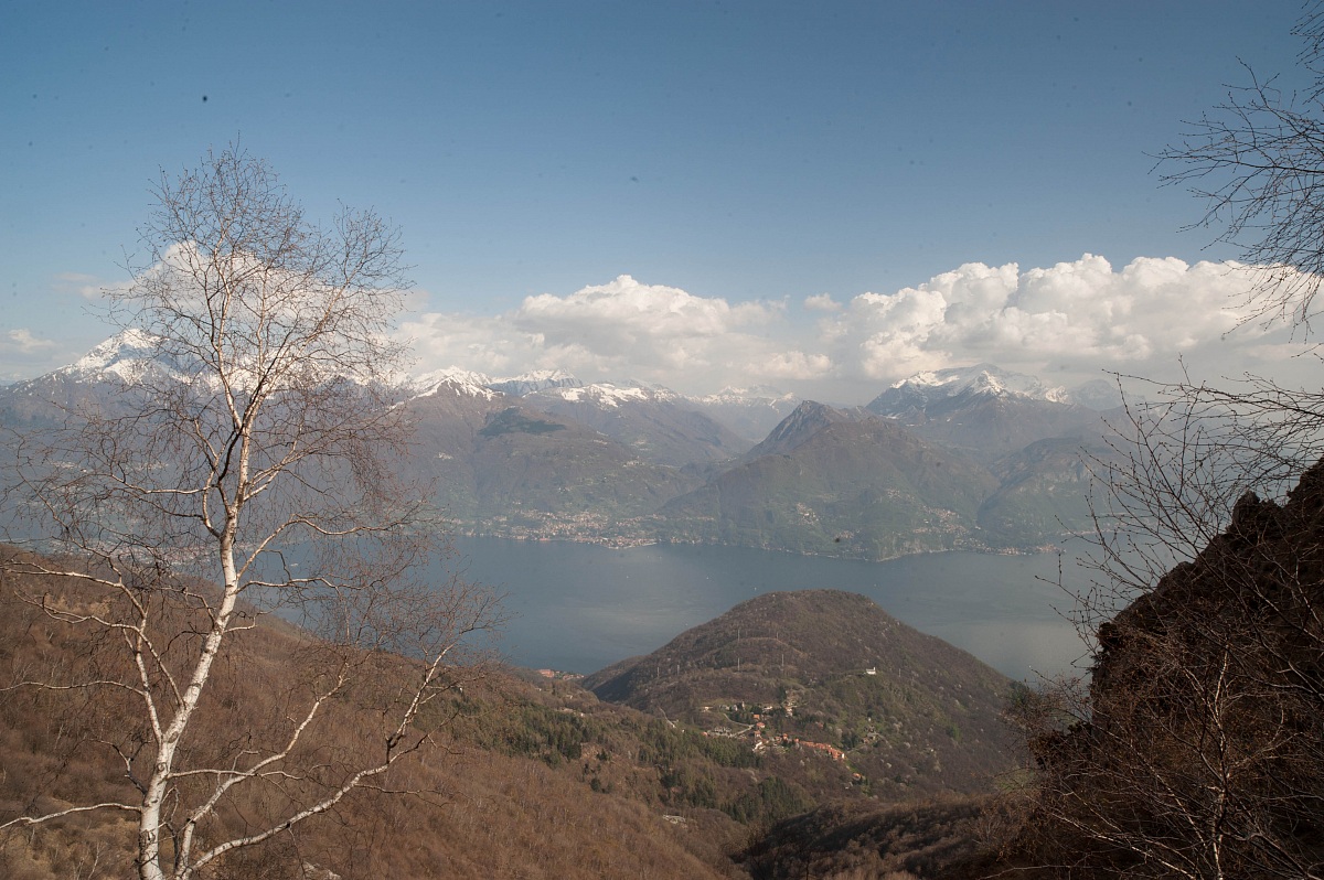 no assoluto PP-sole dalle 13 alle 16 avanzando di foto