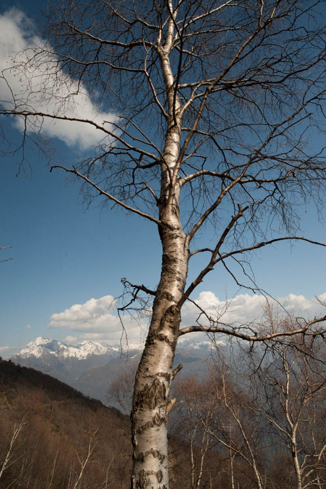 no absolute PP-Sun from 13 to 16 advancing photo