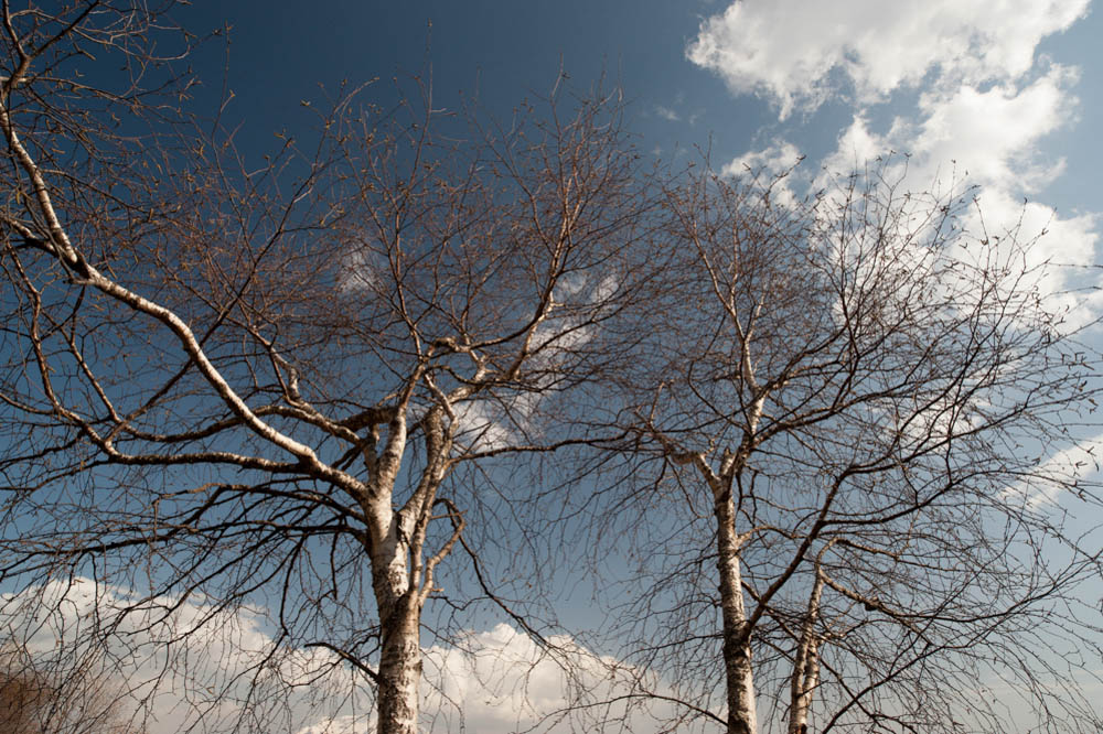 no absolute PP-Sun from 13 to 16 advancing photo