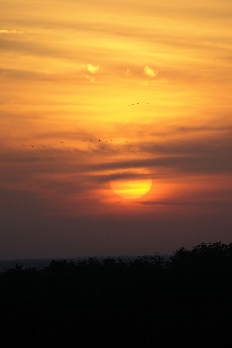 Tramonto sul Parco Nazionale di Wasa