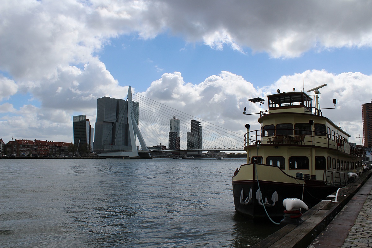 Erasmus Bridge