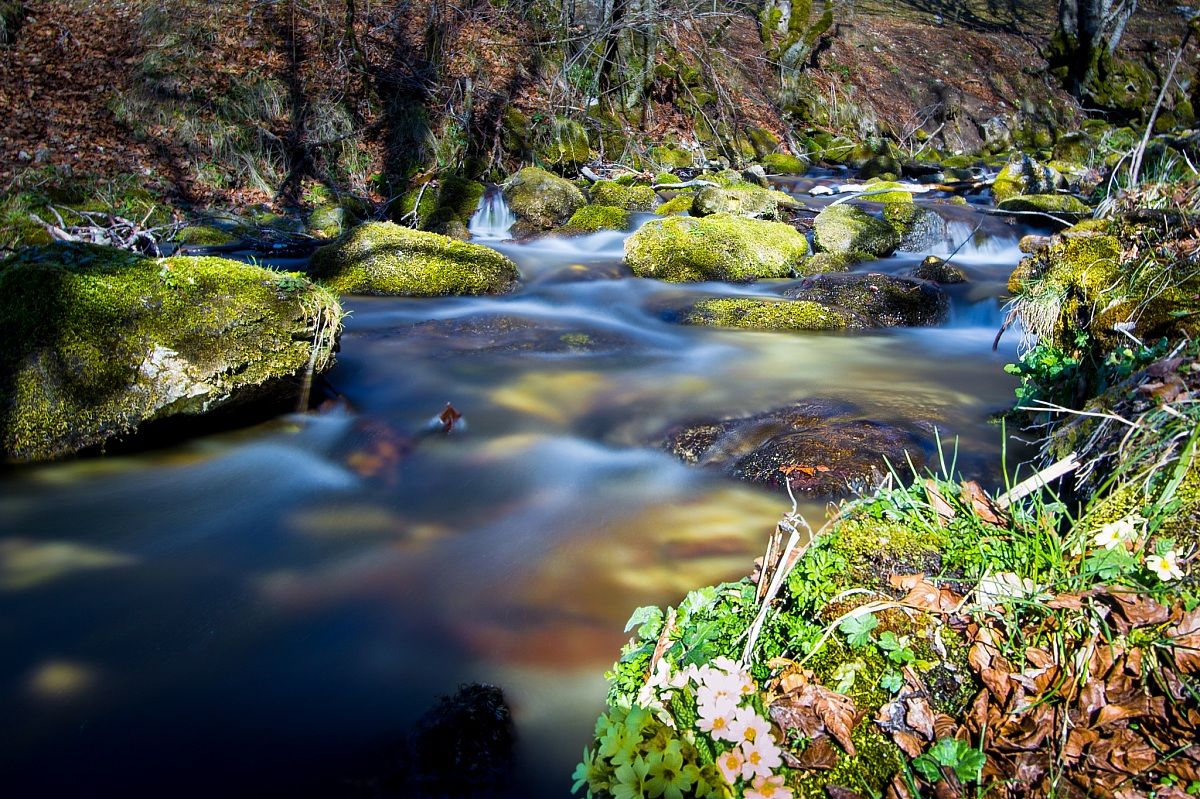 Source of the stream