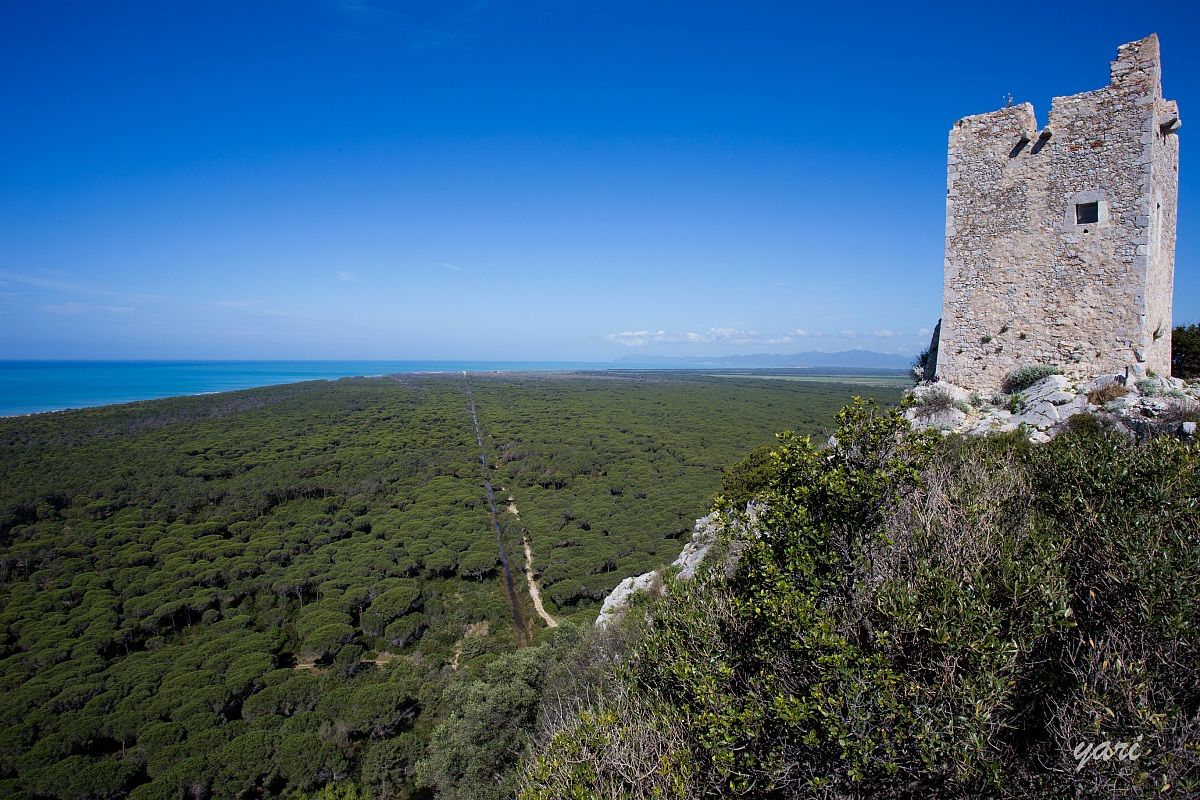 The point of view of the tower