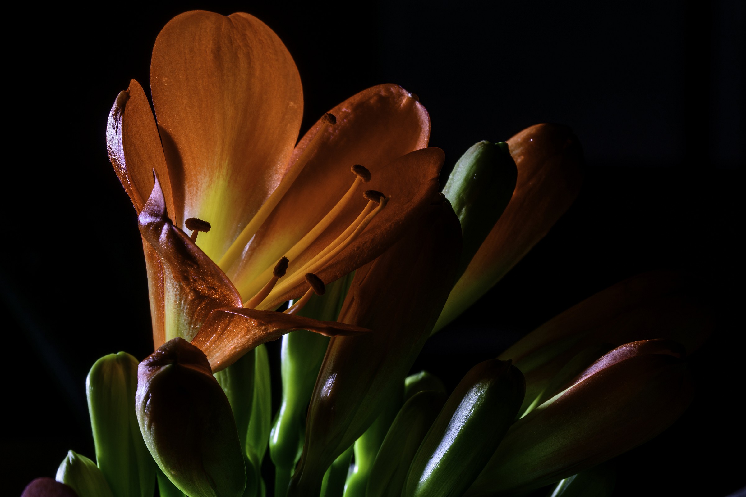 Giochi di luce soffusa