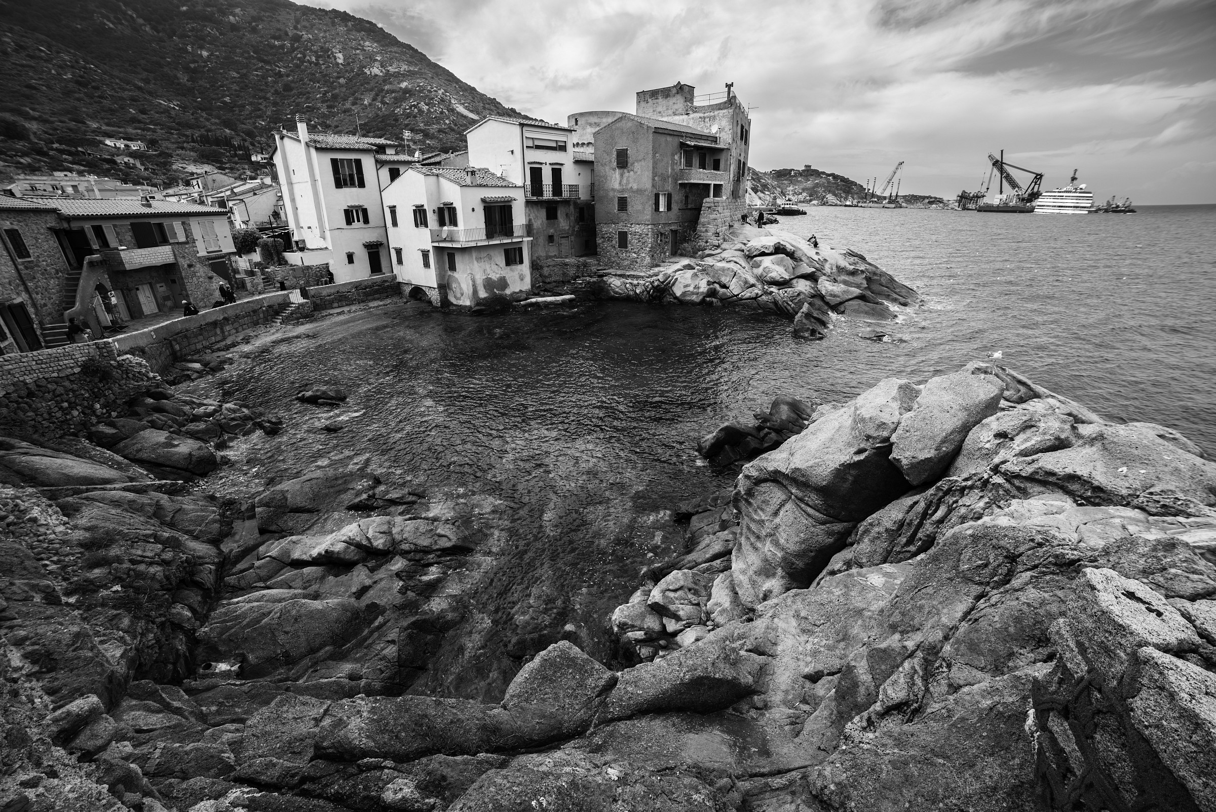 The Lily and the Intruder