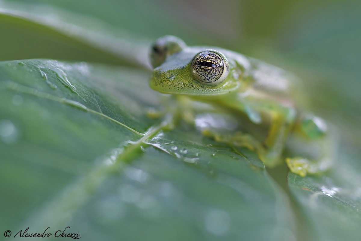 At full aperture ....