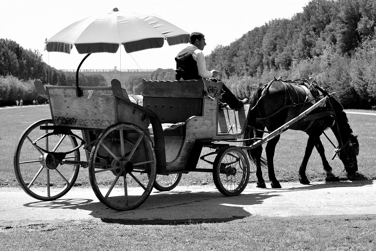Carrozza