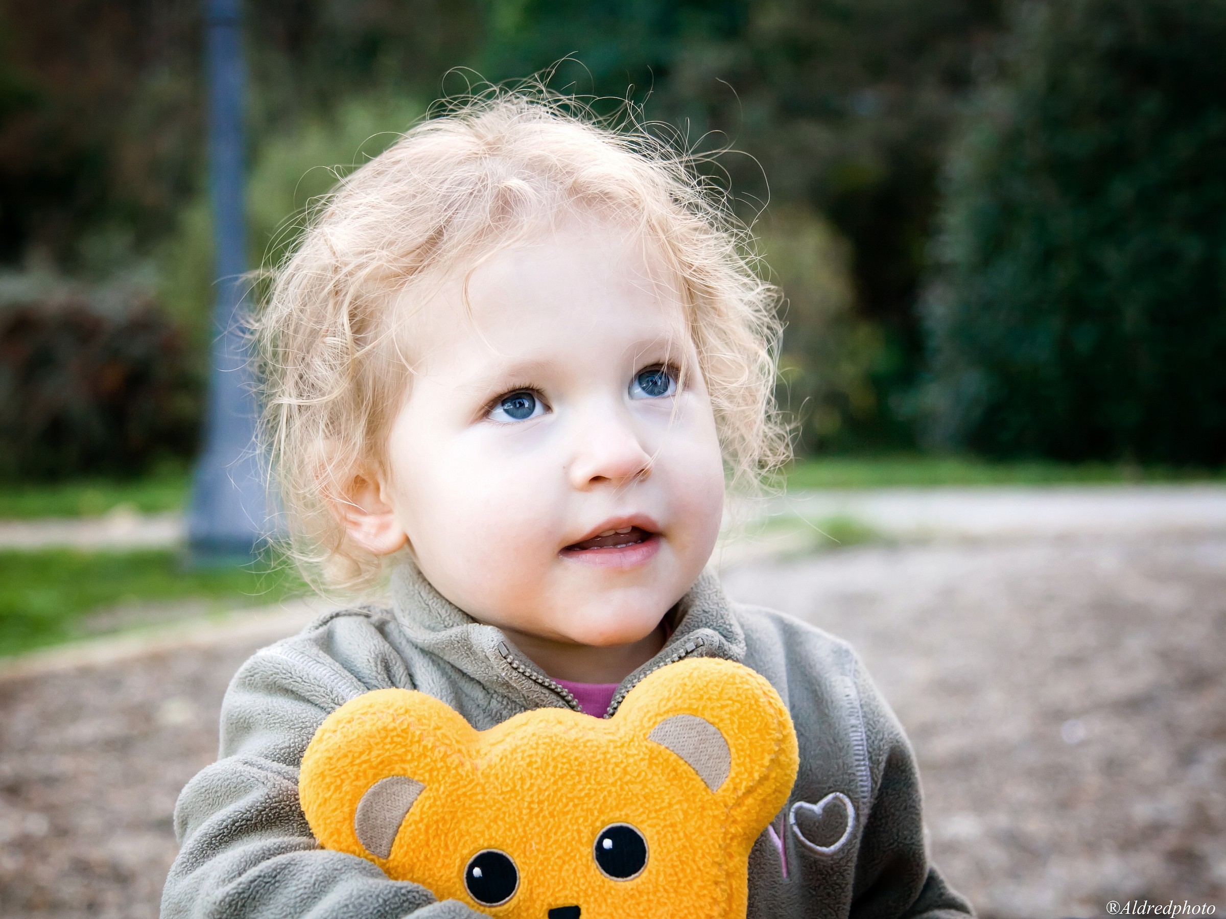 At the park, the new version